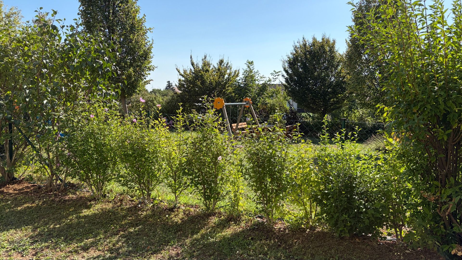 Garten_1.jpeg