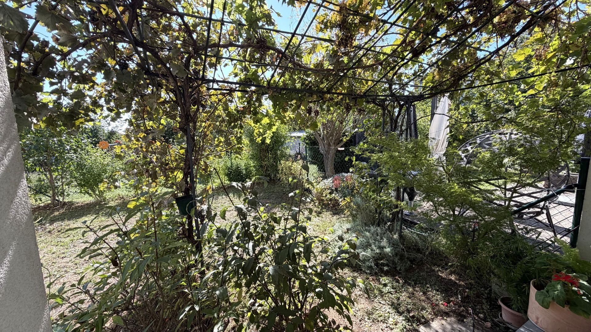 Garten_2.jpeg