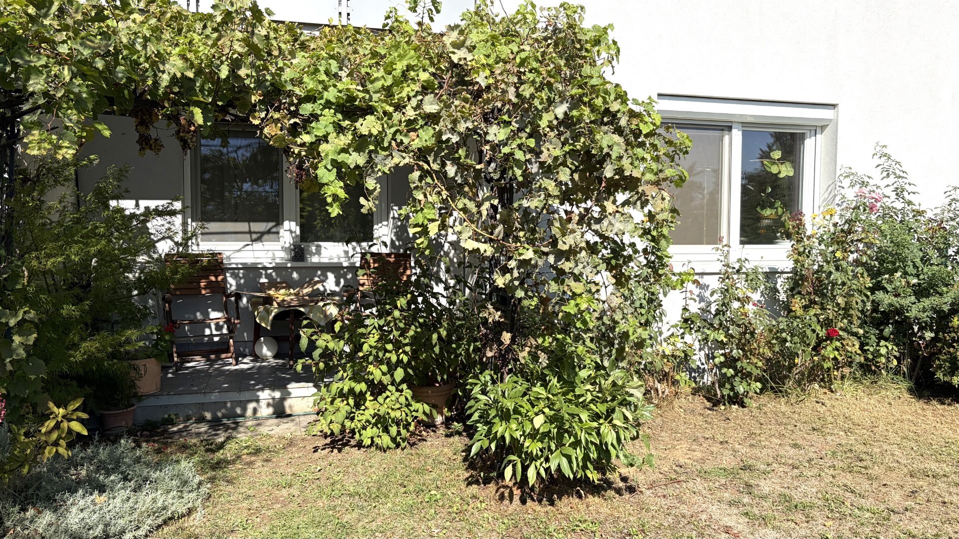 Garten.jpeg
