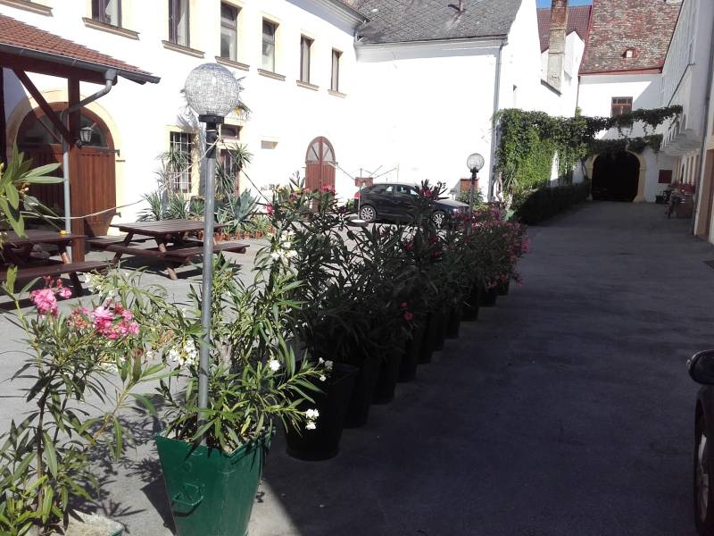 20160711_094239.jpg